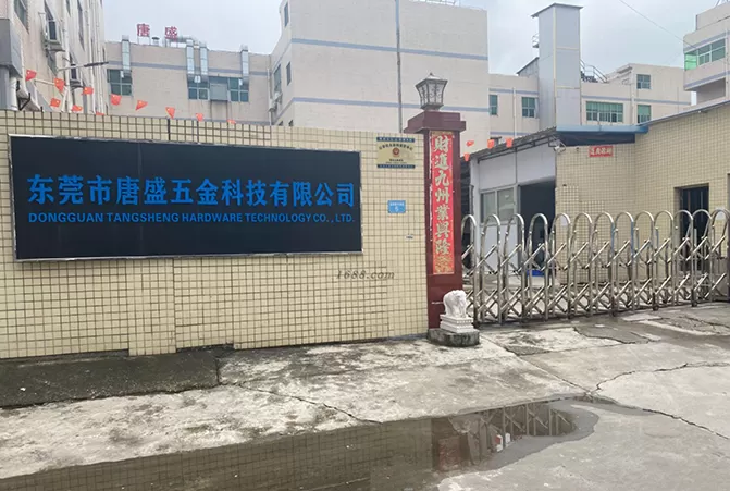 ts casting technology